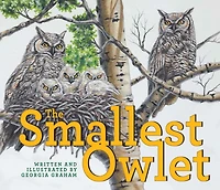 The Smallest Owlet