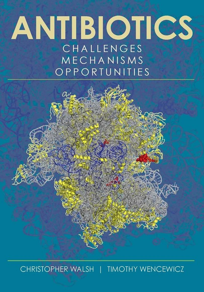 Antibiotics: Challenges, Mechanisms, Opportunities