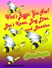 What's Buggin' You Now? : Bee's Knees, Bug Light and Beetles