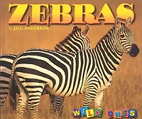 Zebras
