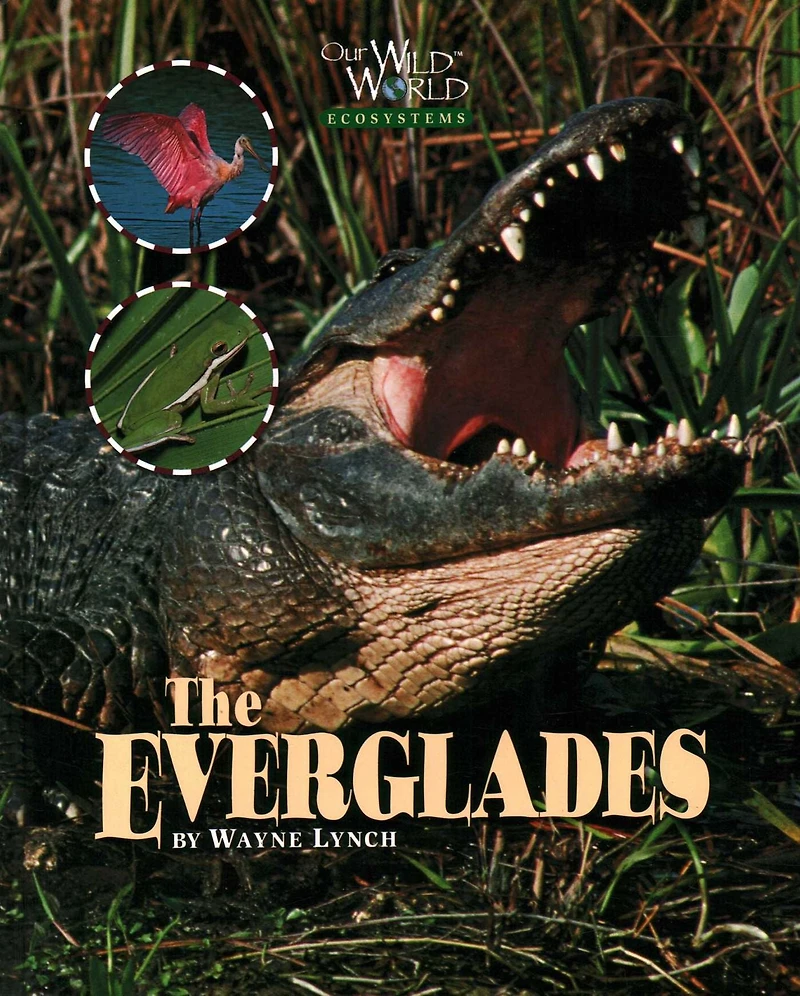 Everglades