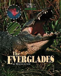 Everglades