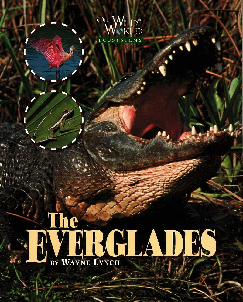Everglades