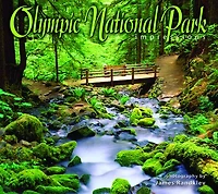 Olympic National Park Impressions