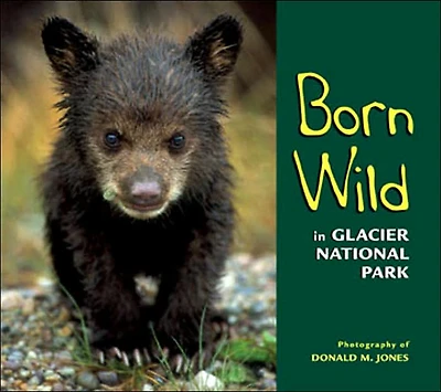 Born Wild in Glacier National Park
