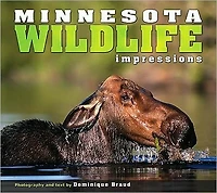 Minnesota Wildlife Impressions