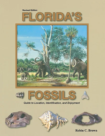 Florida's Fossils