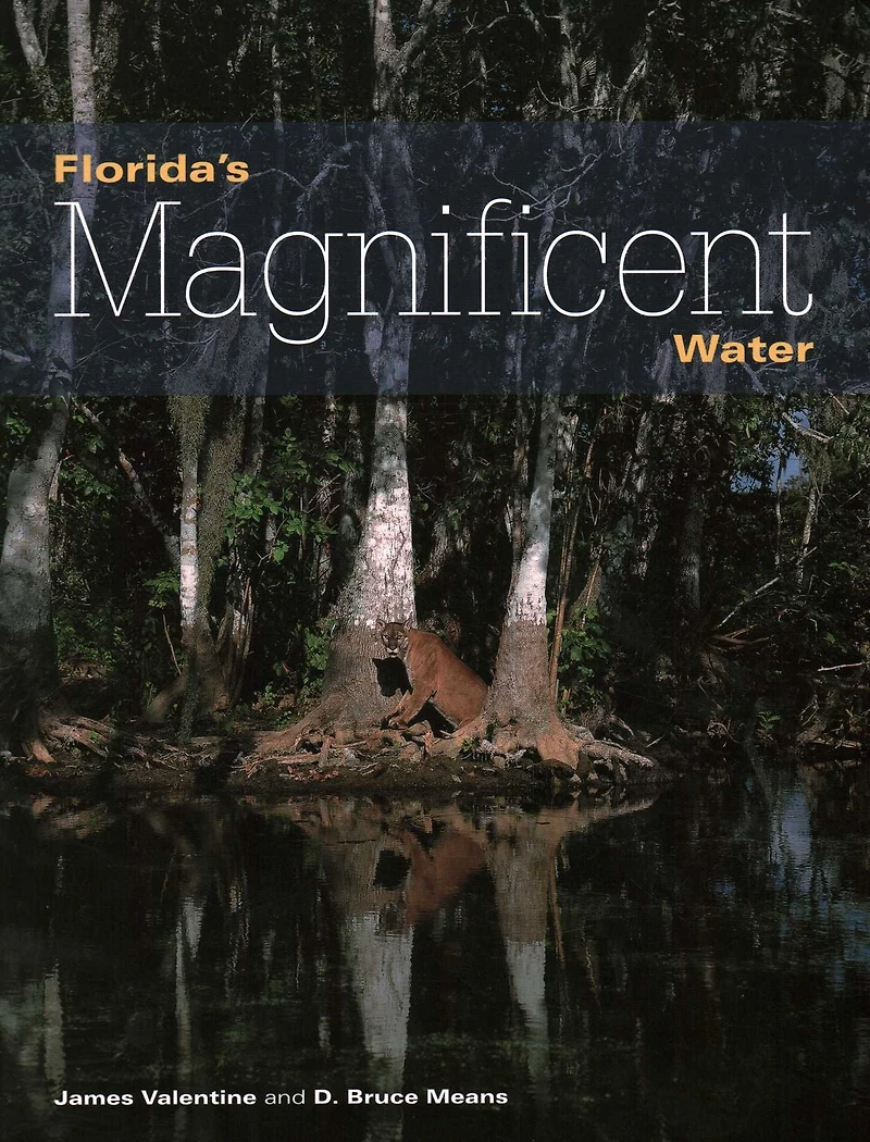 Florida's Magnificent Water