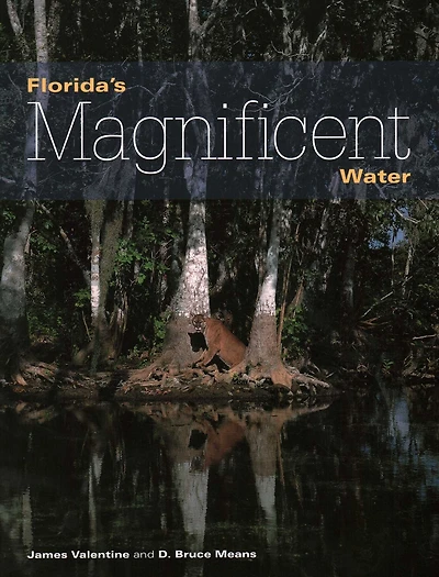 Florida's Magnificent Water