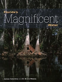 Florida's Magnificent Water
