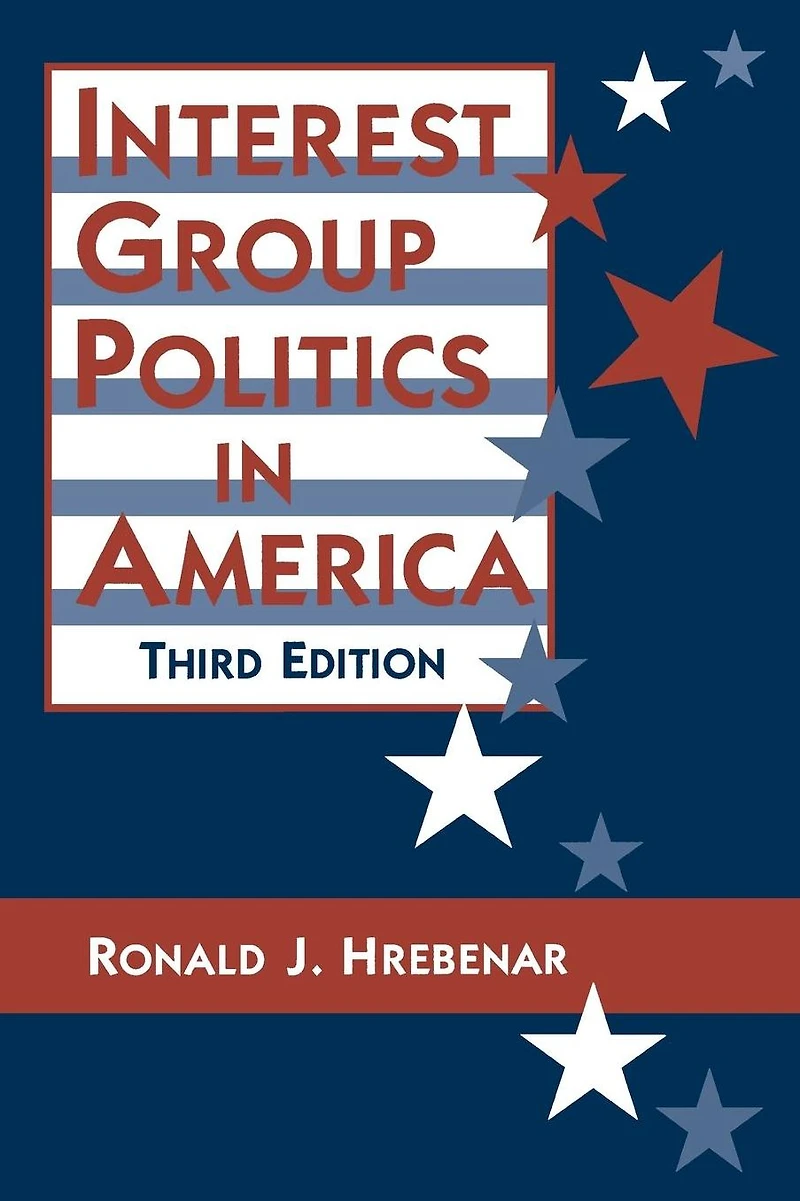Interest Group Politics America