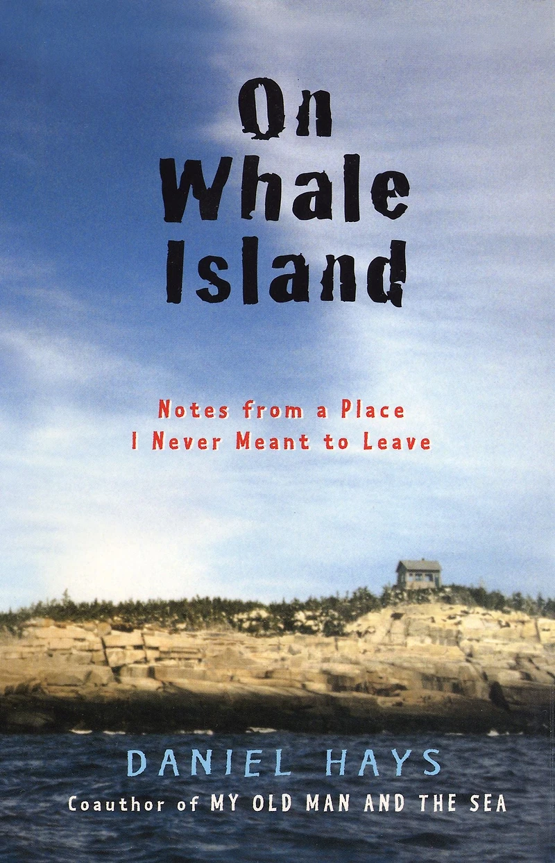 On Whale Island: Notes From a Place I Never Meant to Leave