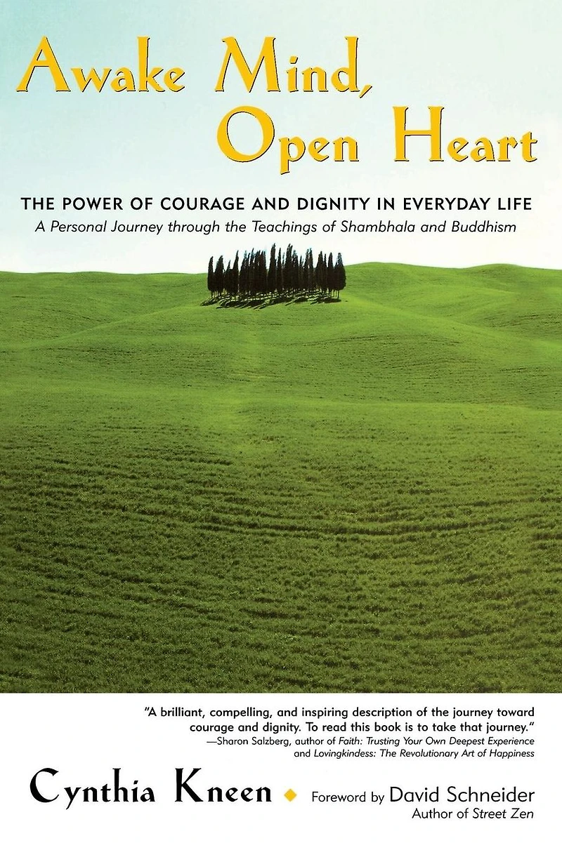 Awake Mind, Open Heart: The Power of Courage and Dignity Everyday Life