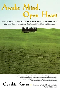 Awake Mind, Open Heart: The Power of Courage and Dignity Everyday Life