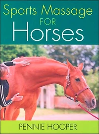 Sports Massage for Horses