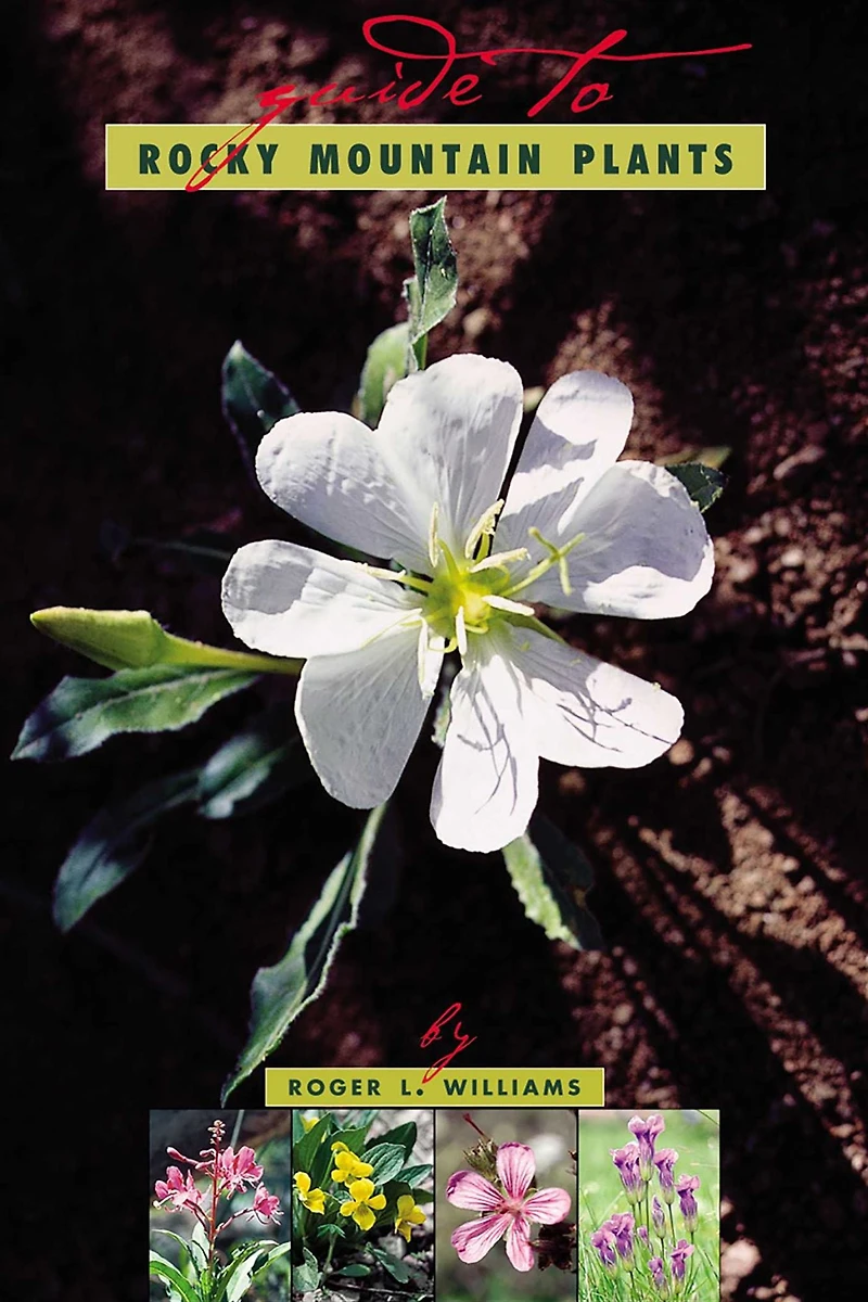 A Guide To Rocky Mountain Plants, Revised