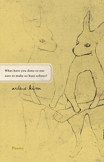 What have you done to our ears make us hear echoes?: Poems