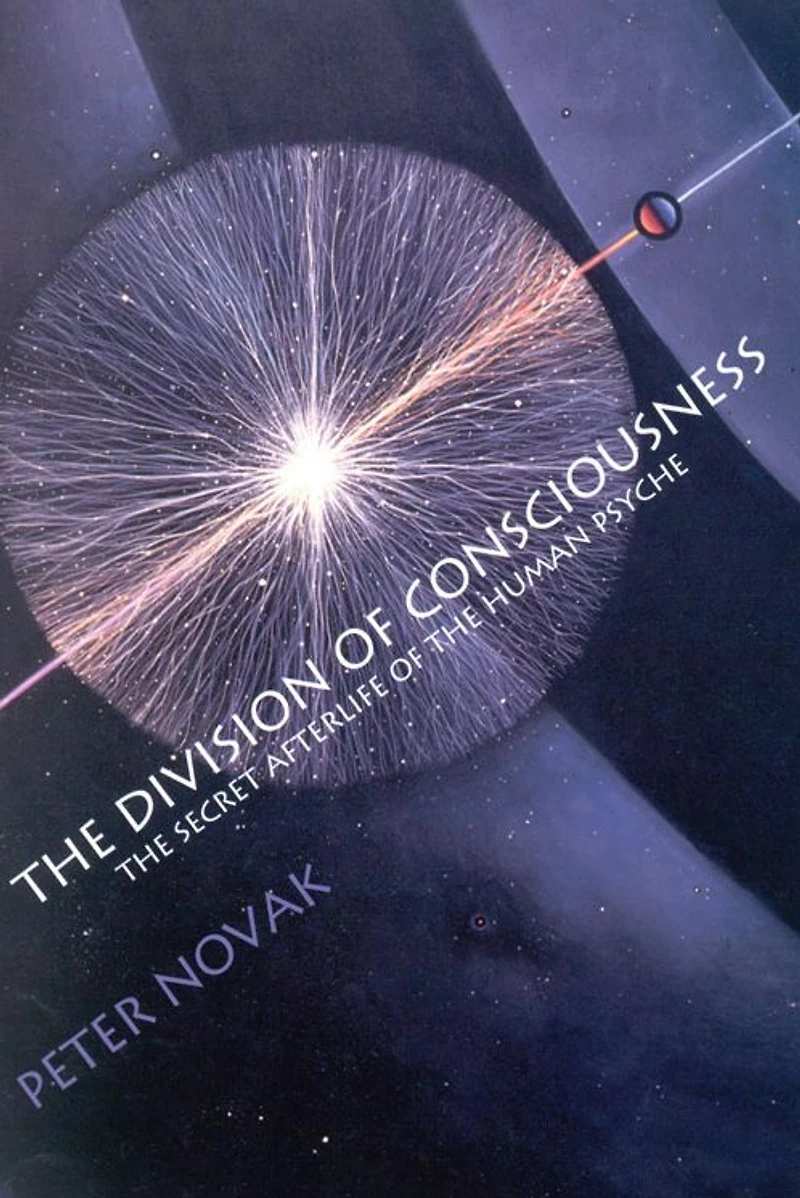 the Division of Consciousness: Secret Afterlife Human Psyche