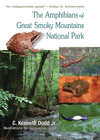 The Amphibians of Great Smoky Mountains National Park