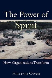 The Power of Spirit: How Organizations Transform