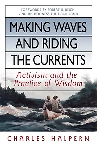 Making Waves and Riding the Currents: Activism Practice of Wisdom