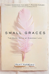 Small Graces: The Quiet Gifts of Everyday Life