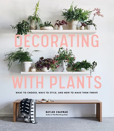 Decorating with Plants: What to Choose, Ways Style, and How Make Them Thrive
