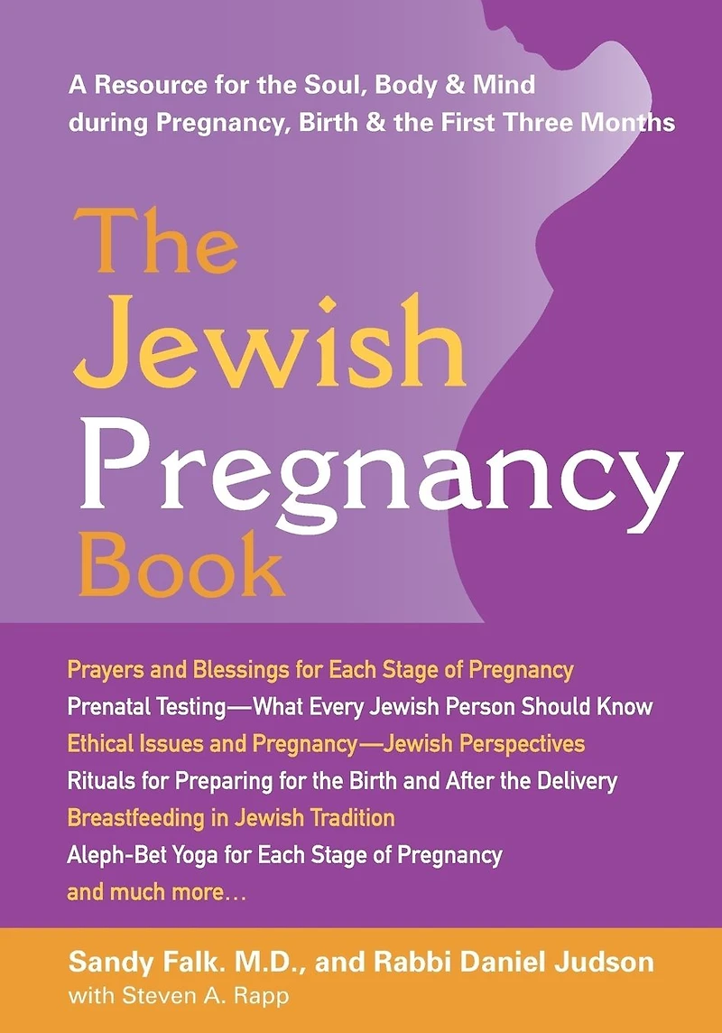 the Jewish Pregnancy Book: A Resource for Soul, Body & Mind during Pregnancy, Birth First Three Months