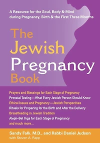 the Jewish Pregnancy Book: A Resource for Soul, Body & Mind during Pregnancy, Birth First Three Months