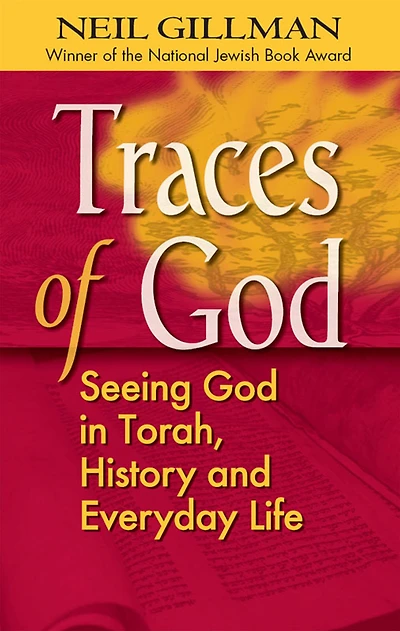 Traces of God: Seeing God Torah, History and Everyday Life