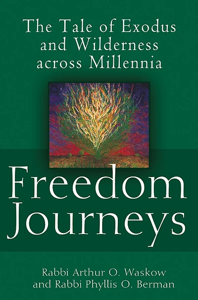 Freedom Journeys: The Tale of Exodus and Wilderness across Millennia
