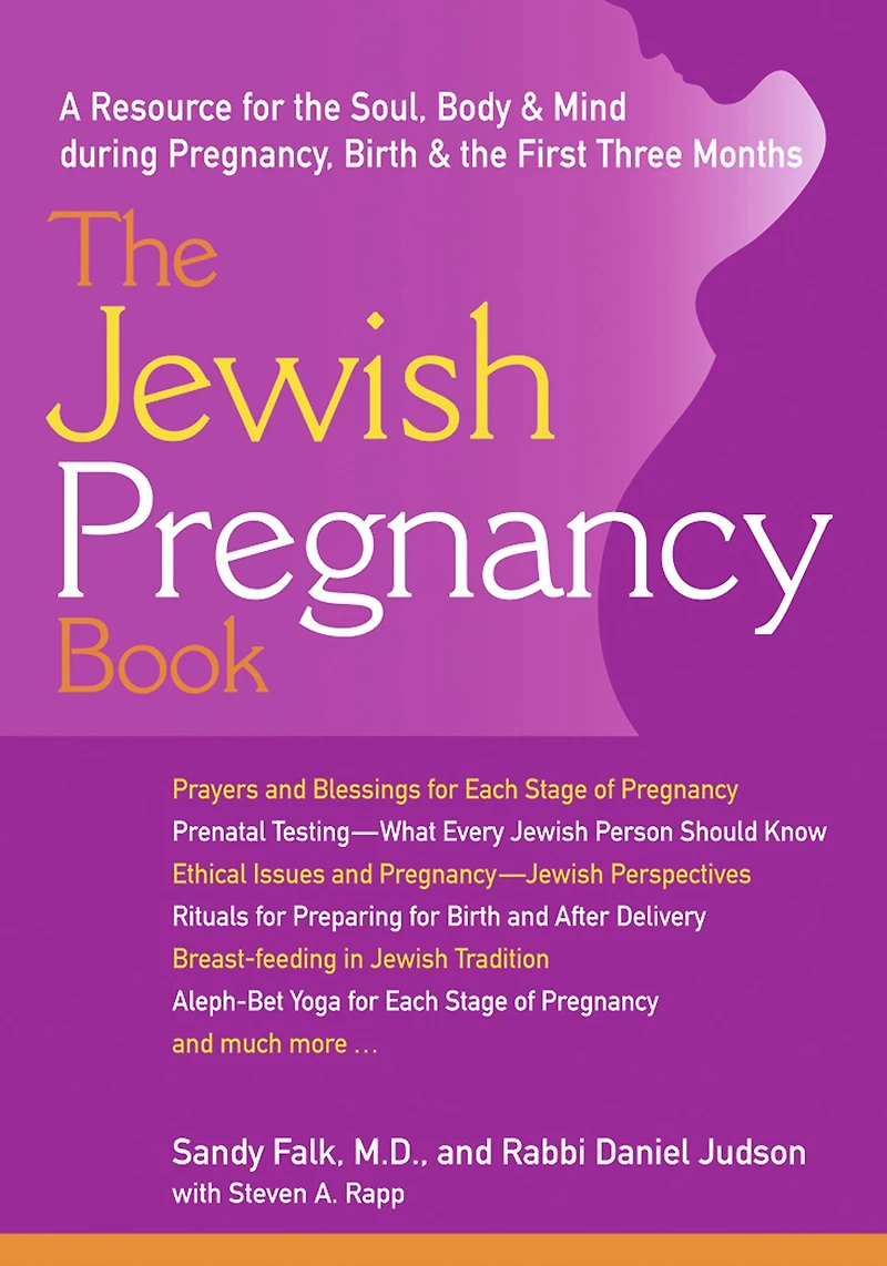 the Jewish Pregnancy Book: A Resource for Soul, Body & Mind during Pregnancy, Birth First Three Months