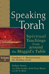 Speaking Torah Vol 2: Spiritual Teachings from around the Maggid's Table
