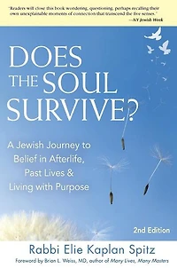 Does the Soul Survive? (2nd Edition): A Jewish Journey to Belief Afterlife, Past Lives & Living with Purpose
