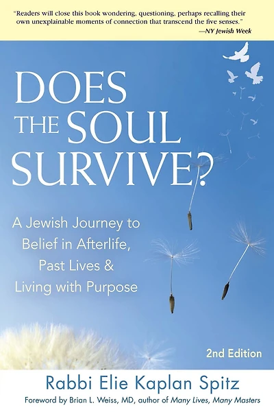 Does the Soul Survive? (2nd Edition): A Jewish Journey to Belief Afterlife, Past Lives & Living with Purpose
