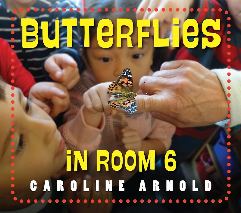 Butterflies Room 6: See How They Grow