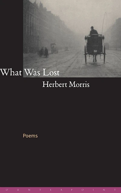 What Was Lost: Poems