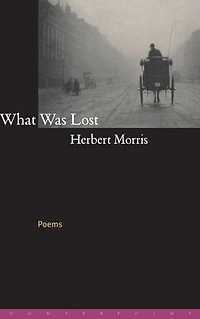 What Was Lost: Poems