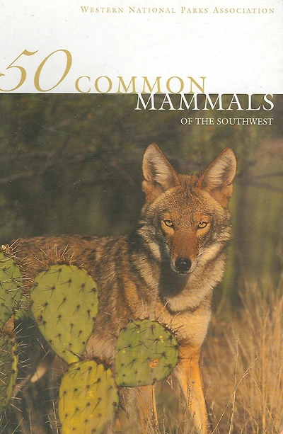 50 Common Mammals of the Southwest