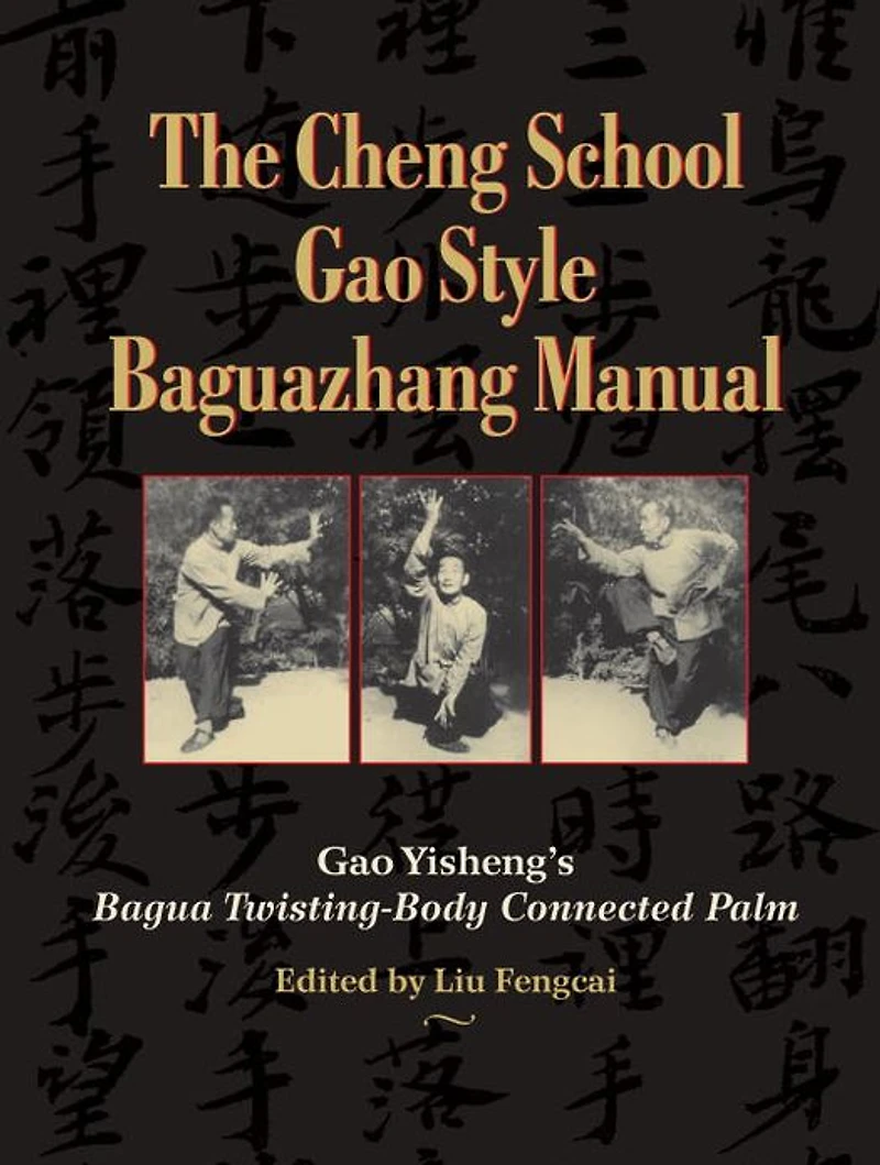 The Cheng School Gao Style Baguazhang Manual: Yisheng's Bagua Twisting-Body Connected Palm