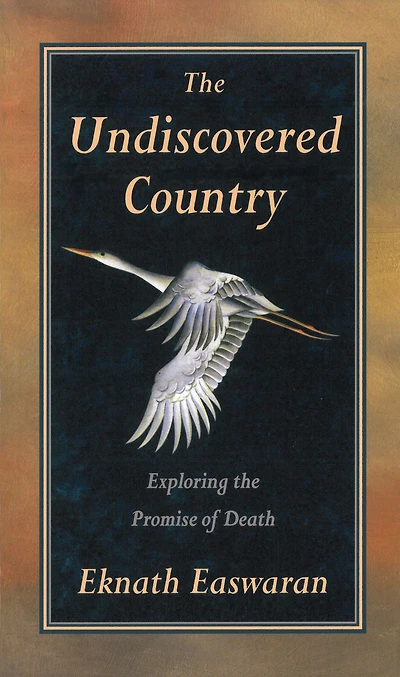 the Undiscovered Country: Exploring Promise of Death