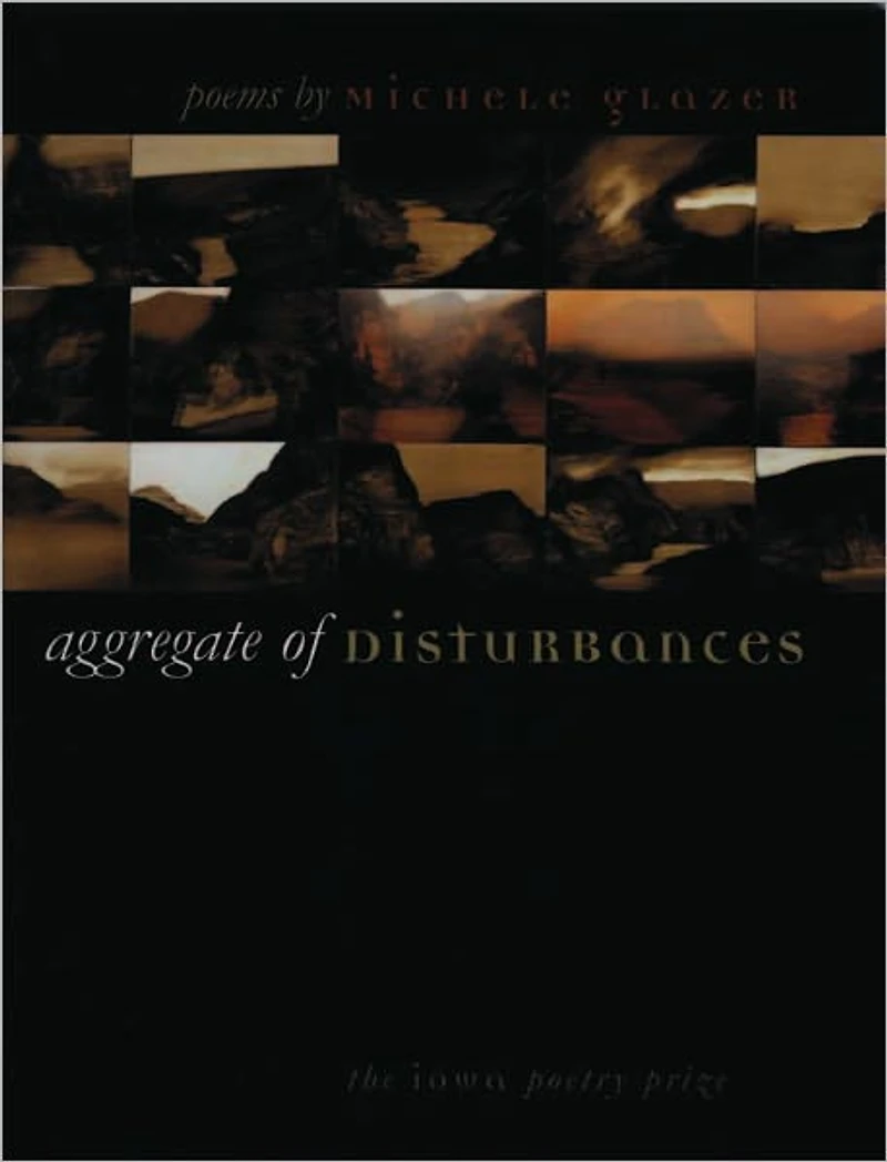 Aggregate of Disturbances