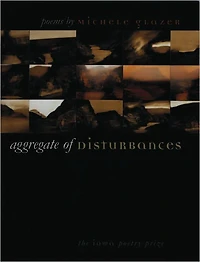 Aggregate of Disturbances