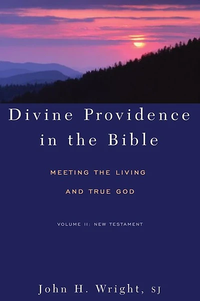 Divine Providence in the Bible: Meeting the Living and True God - Volume II: New Testament