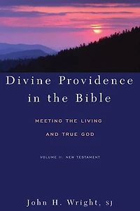 Divine Providence in the Bible: Meeting the Living and True God - Volume II: New Testament