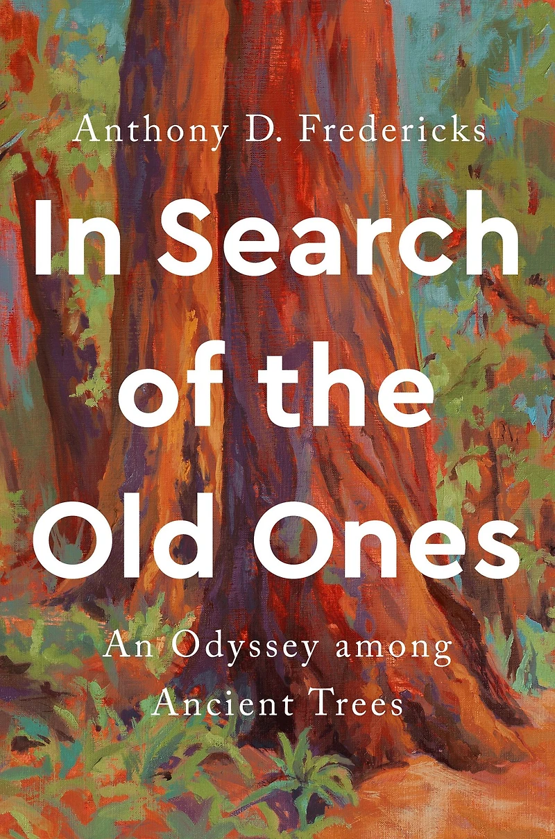 Search of the Old Ones: An Odyssey among Ancient Trees