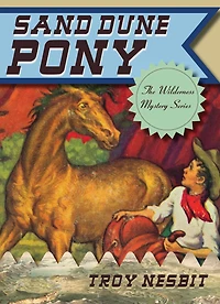 Sand Dune Pony