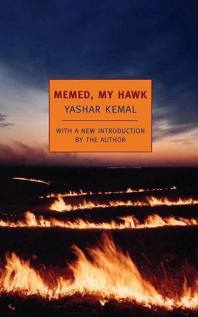 Memed, My Hawk