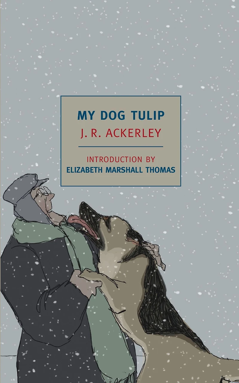 My Dog Tulip