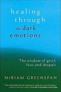 Healing Through The Dark Emotions: Wisdom of Grief, Fear, and Despair
